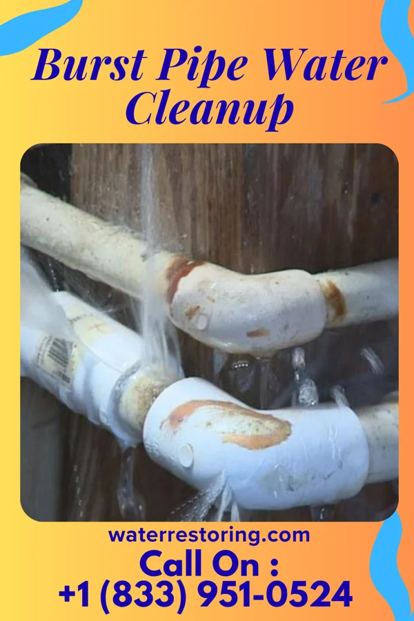 Burst Pipe Water Cleanup in McDonald, KS
