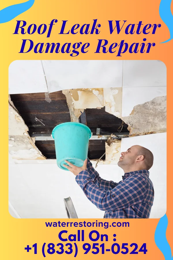 Roof Leak Water Damage Repair in McDonald, KS